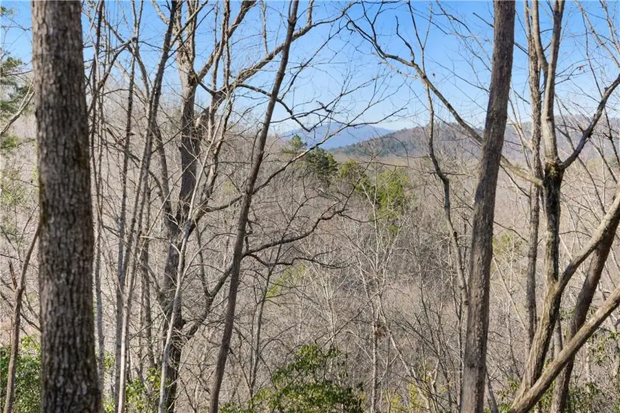 0 Mill Run, Sautee Nacoochee, GA 30571 - #2