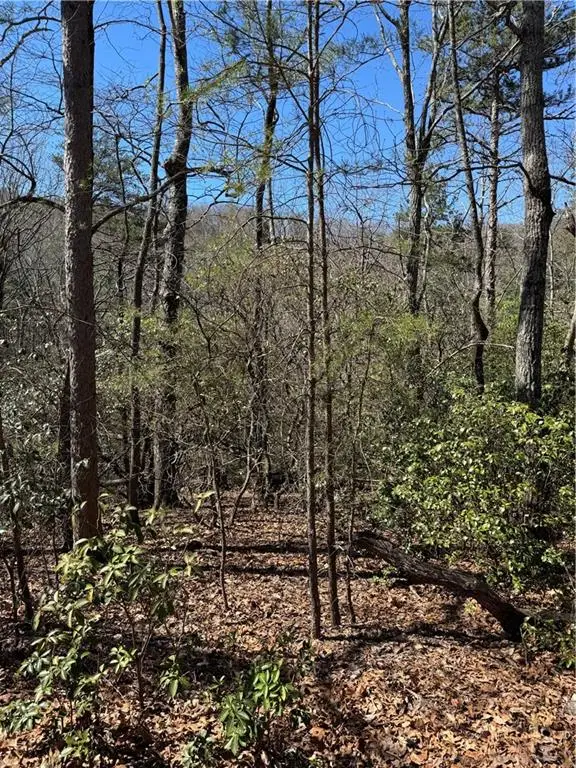 5504 Red Fox Drive, Big Canoe, GA 30143 - #1