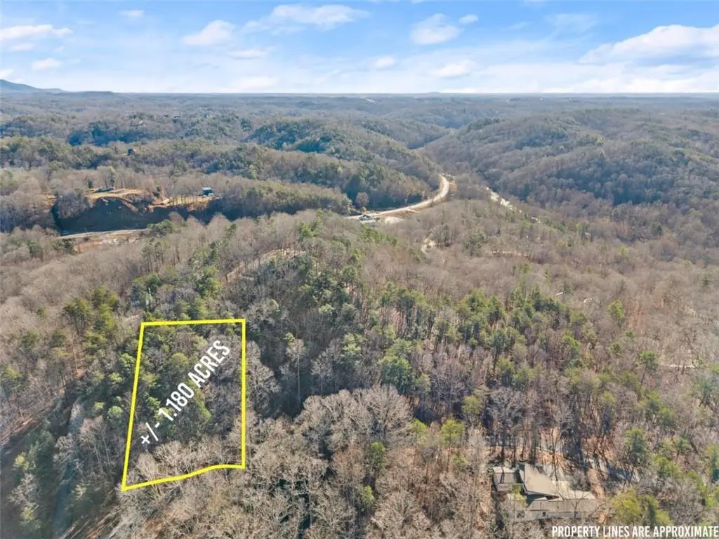0 Golden Lot 1 Avenue, Dahlonega, GA 30533 - #1