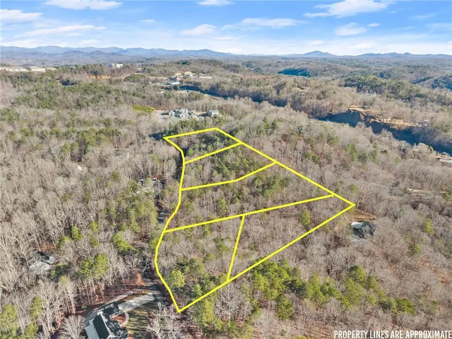 0 Golden Lot 1 Avenue, Dahlonega, GA 30533 - #2