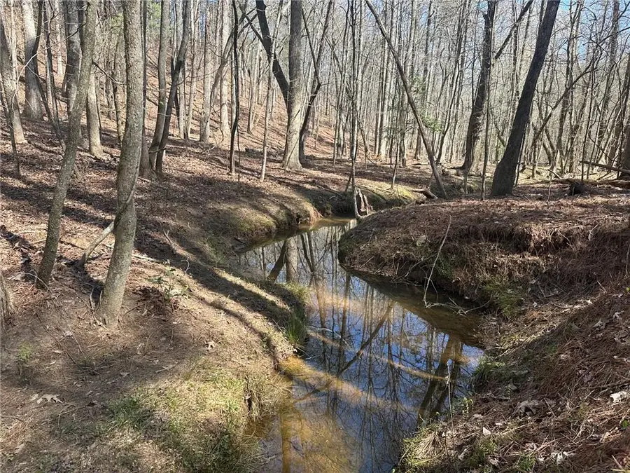 555 Larmon Forks Road, Dahlonega, GA 30533 - #2