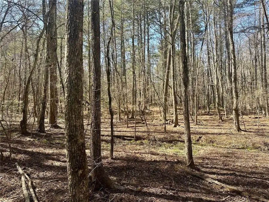 555 Larmon Forks Road, Dahlonega, GA 30533 - #3