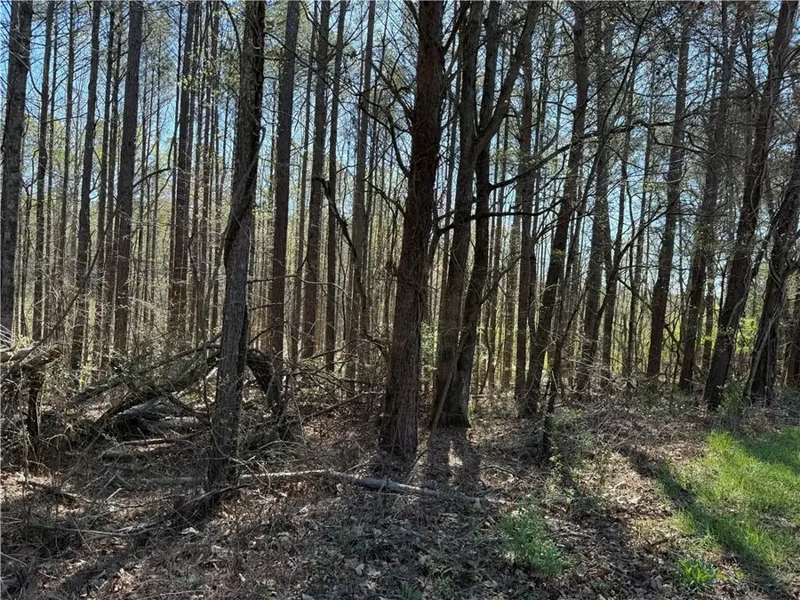 00 Henderson Mountain Road, Fairmount, GA 30139 - #3