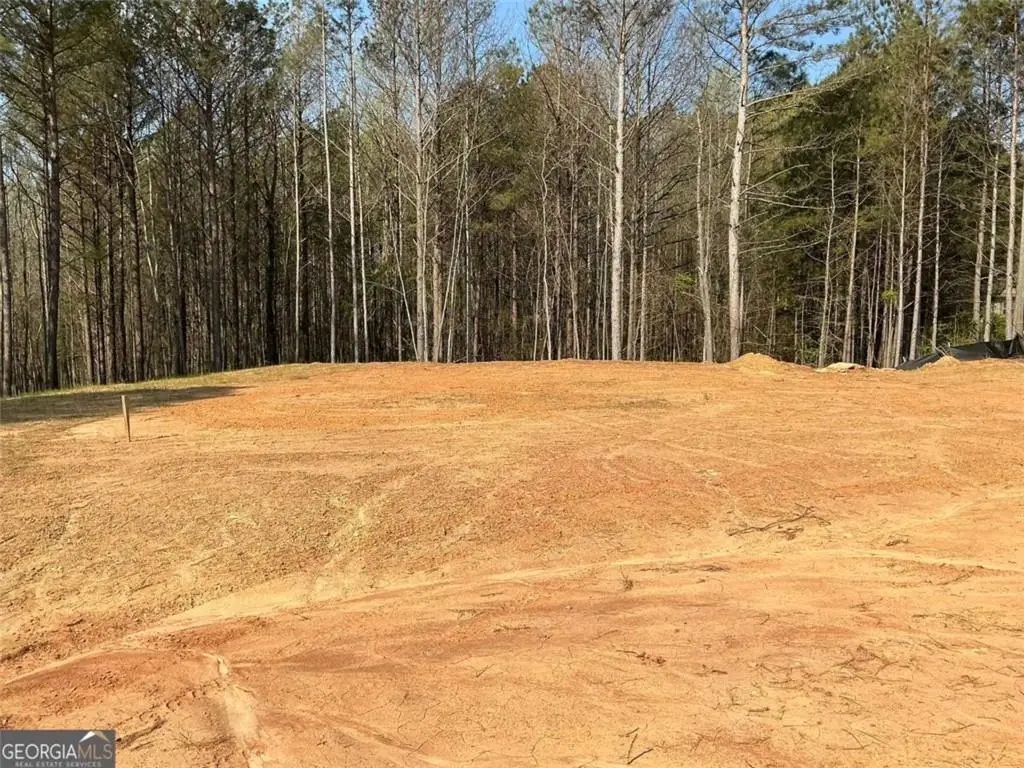 288 White Creek Loop, Rockmart, GA 30153 - #1