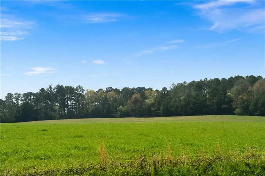 0 Miller Farm Rd - Tract 5 Road, Taylorsville, GA 30178 - #2
