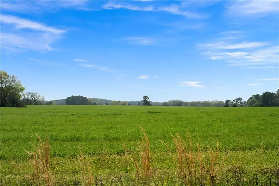 0 Miller Farm Rd - Tract 5 Road, Taylorsville, GA 30178 - #3