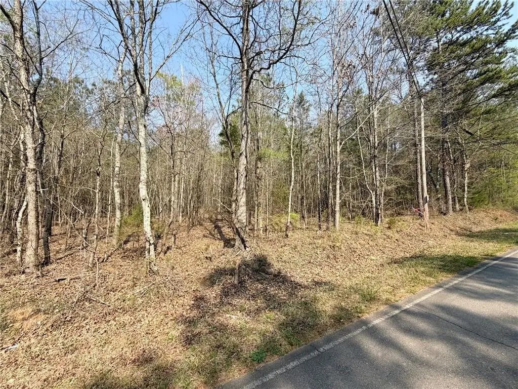 Tract9 Law Road, Cartersville, GA 30120 - #1