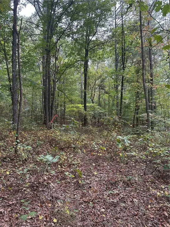 3842 Salacoa-tract A, Waleska, GA 30183 - #2