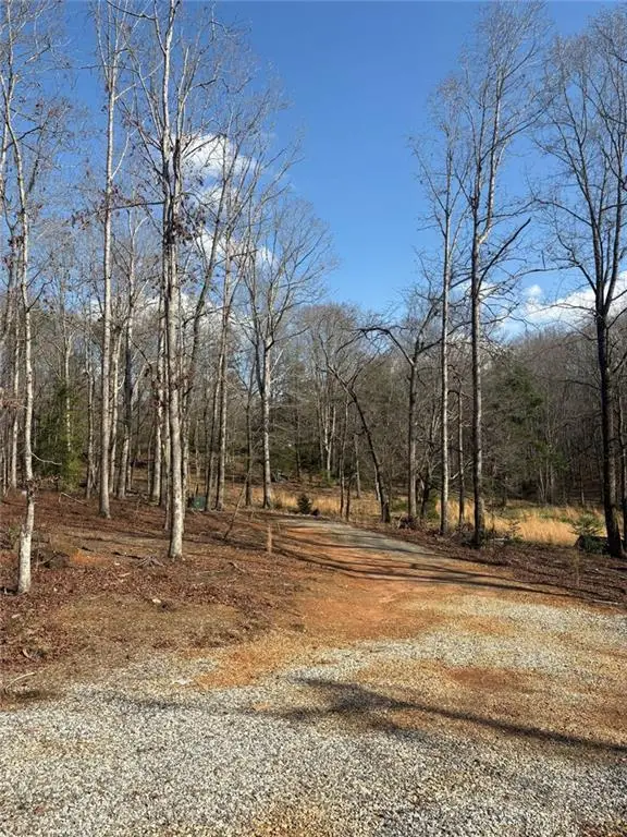 643 Old Ridge Road, Demorest, GA 30535 - #3