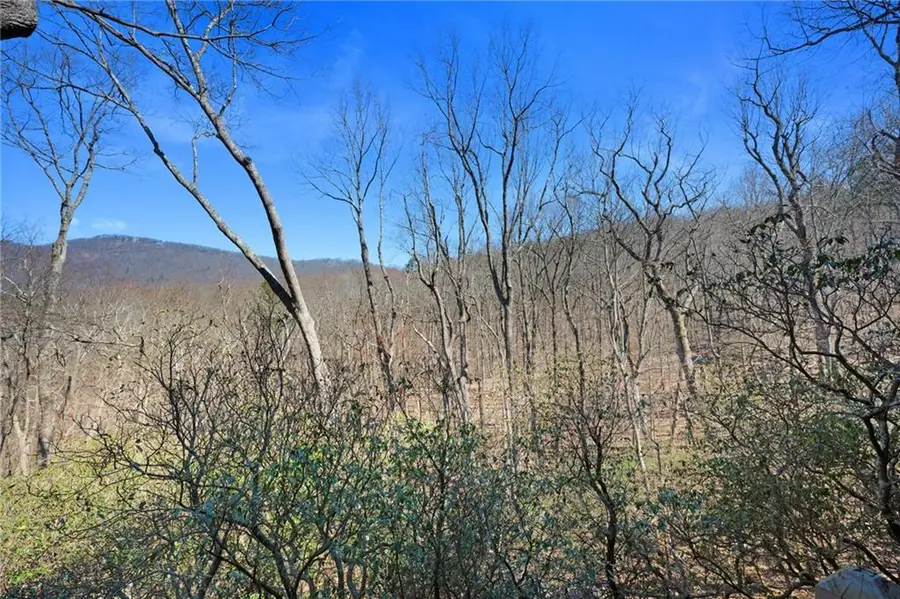 316 Tea Berry Lane, Big Canoe, GA 30143 - #3