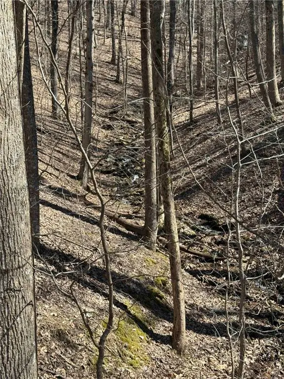 3366 Crippled Oak Trail, Jasper, GA 30143 - #3