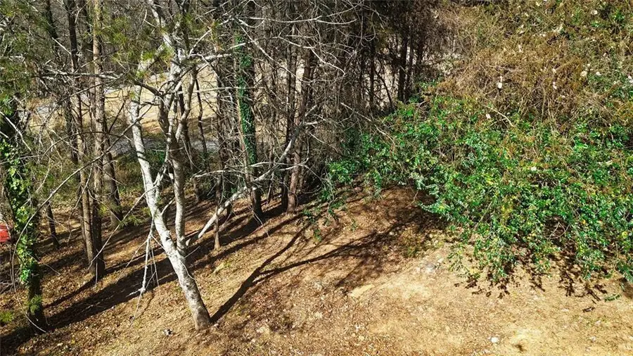 117 Turner Road, Dahlonega, GA 30533 - #2