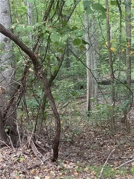 1145 Embry Court, Ranger, GA 30734 - #2