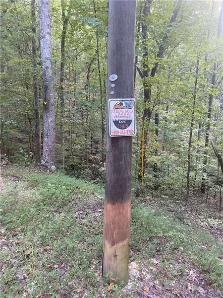 1145 Embry Court, Ranger, GA 30734 - #3