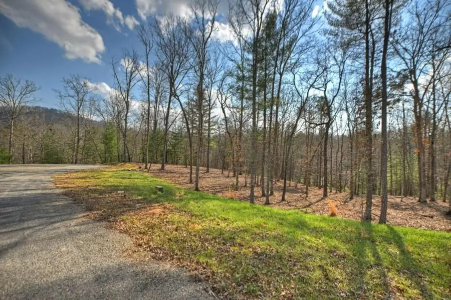 LT 13 Rocky Ridge, Mineral Bluff, GA 30559 - #2