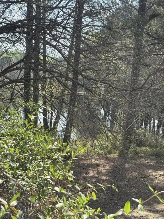 1560 Stoneleigh Hill Road, Lithonia, GA 30058 - #2