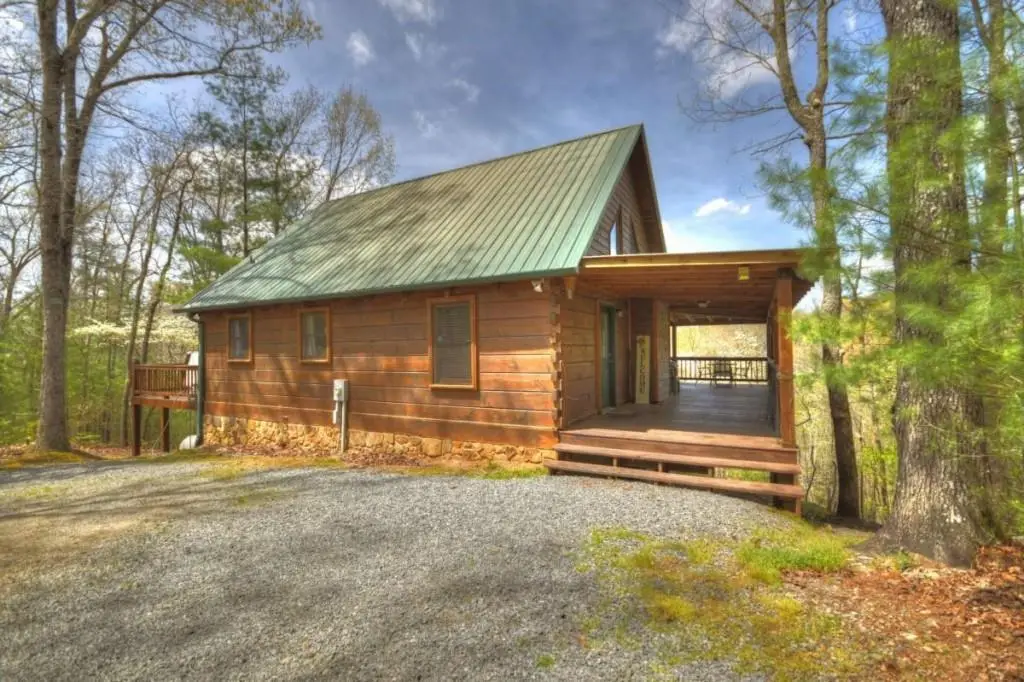 220 Lakota Lane, Mineral Bluff, GA 30559 - #1