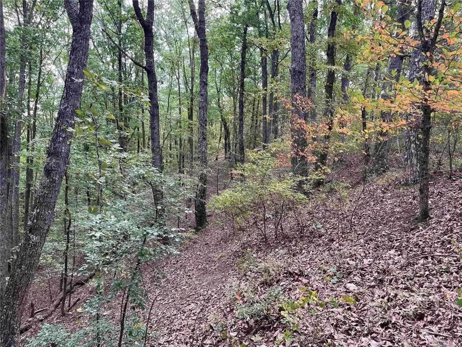 32 Antler Court, Ranger, GA 30734 - #3