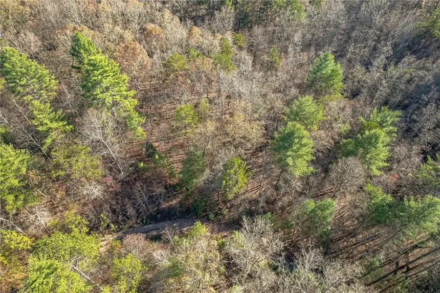 0 Pine Woods Drive, Blairsville, GA 30512 - #3
