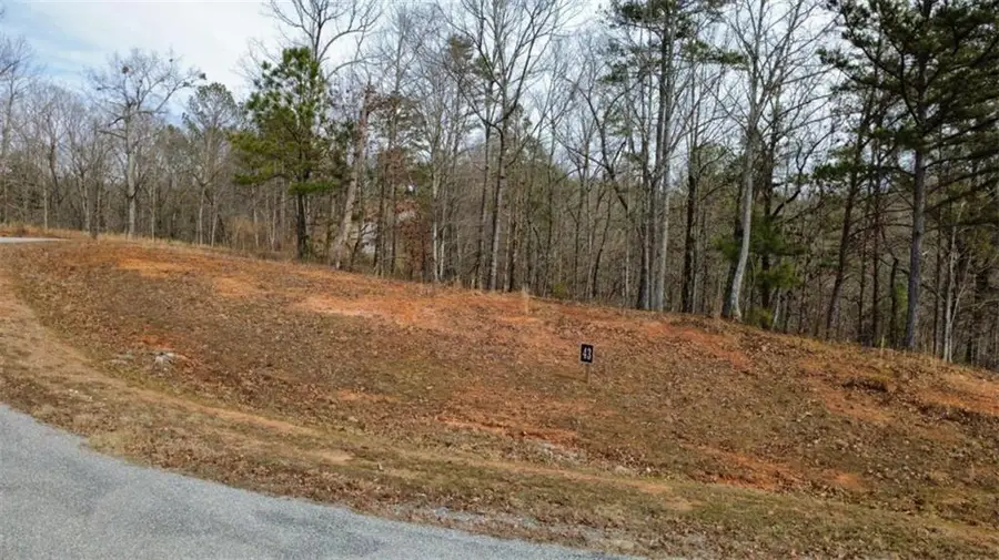 LOT 43 Bucktail Way, Talking Rock, GA 30175 - #2