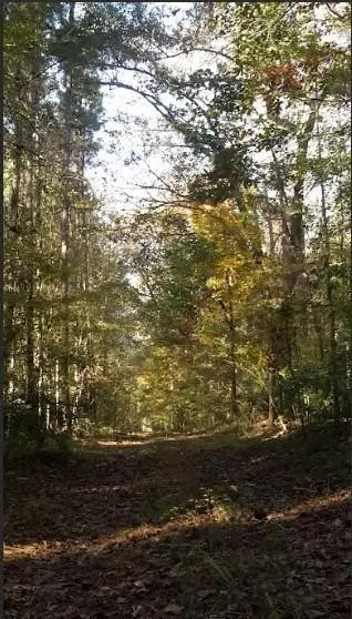 1047 Ponder Trammell Road, Juliette, GA 31046 - #3