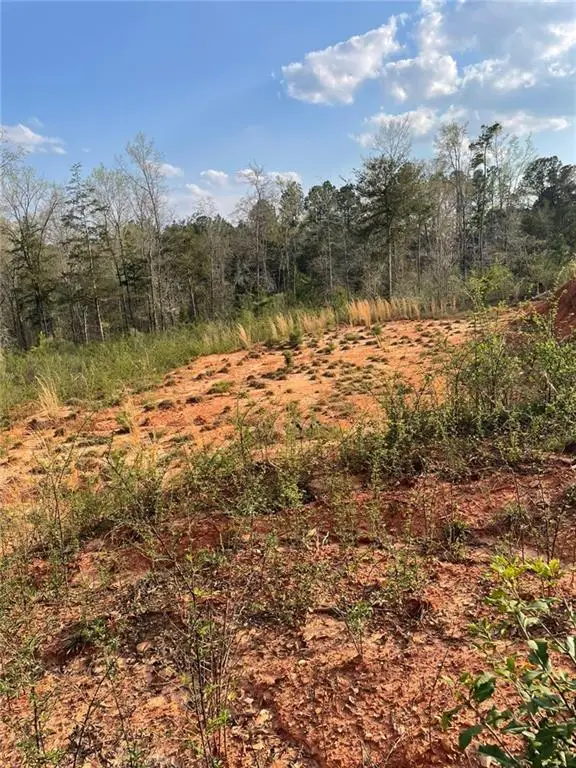 2557 Washington Highway, Elberton, GA 30635 - #1