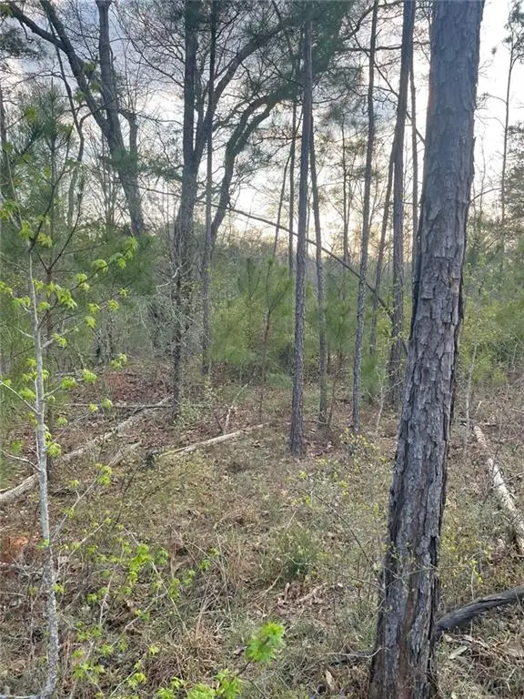 2557 Washington Highway, Elberton, GA 30635 - #3