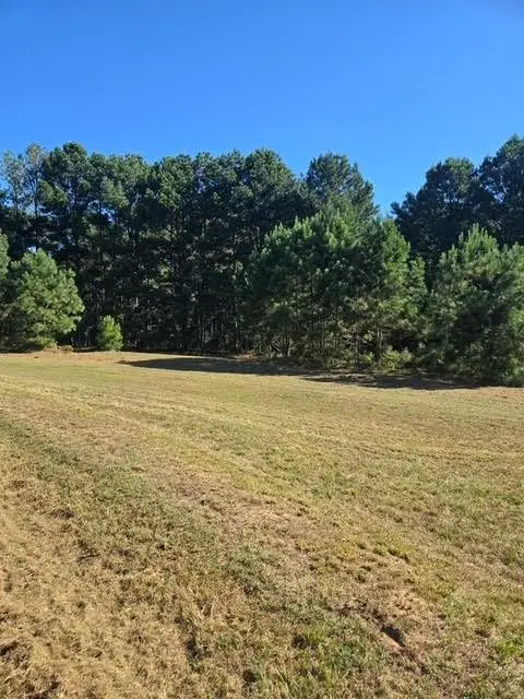 4A Horseshoe Road, Loganville, GA 30052 - #2