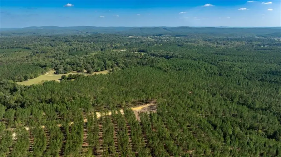 1239 Livingston Road, Rome, GA 30161 - #2