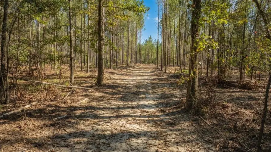 1239 Livingston Road, Rome, GA 30161 - #3