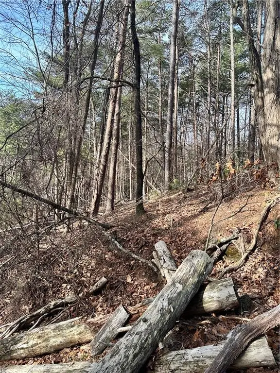 0 Log Swamp Dr. Drive, Jasper, GA 30143