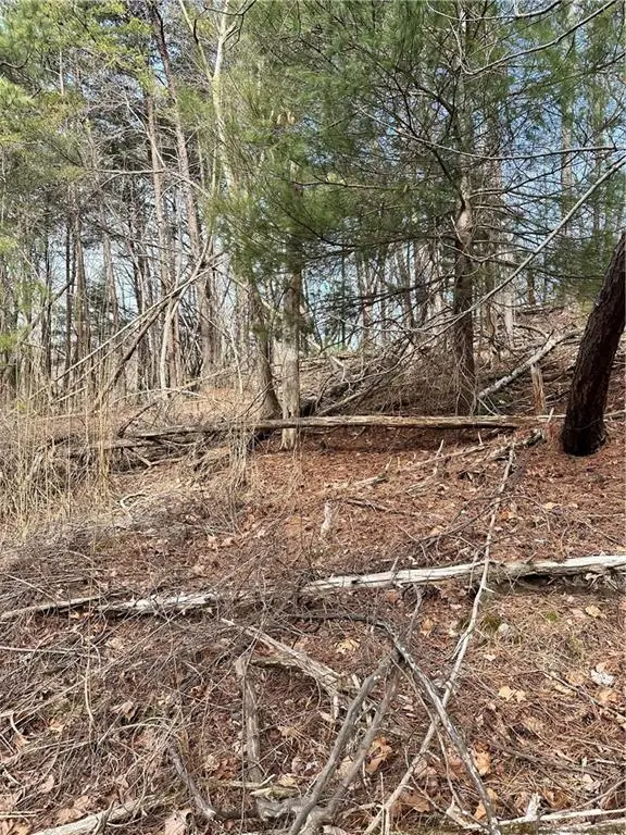 0 Log Swamp Dr. Drive, Jasper, GA 30143 - #2