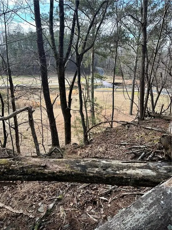 0 Log Swamp Dr. Drive, Jasper, GA 30143 - #3