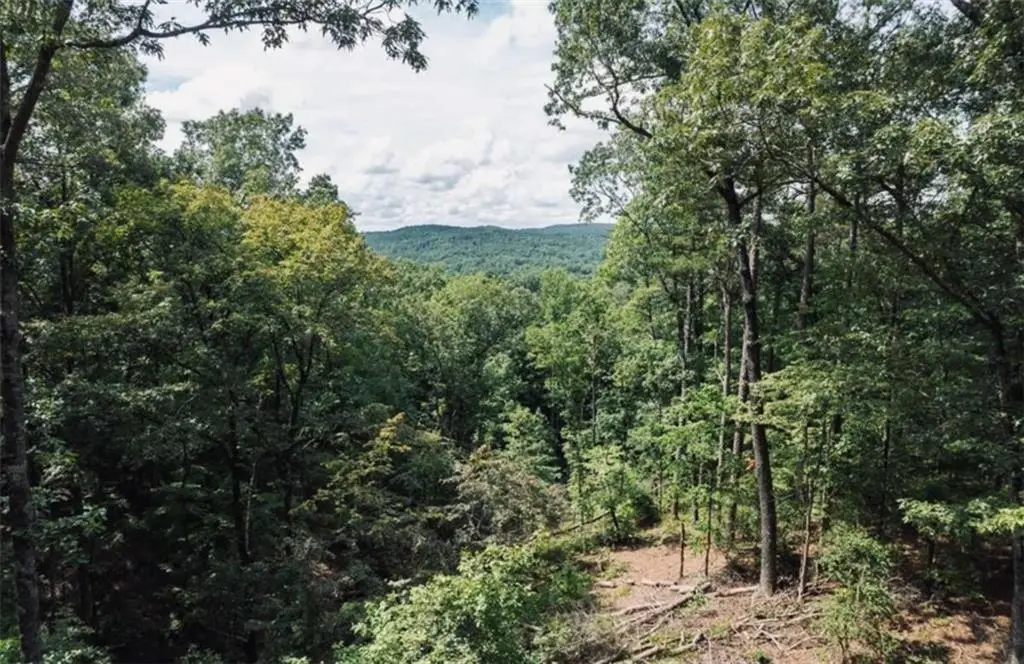 Lt 314 Pebble Trace, Talking Rock, GA 30175 - #1