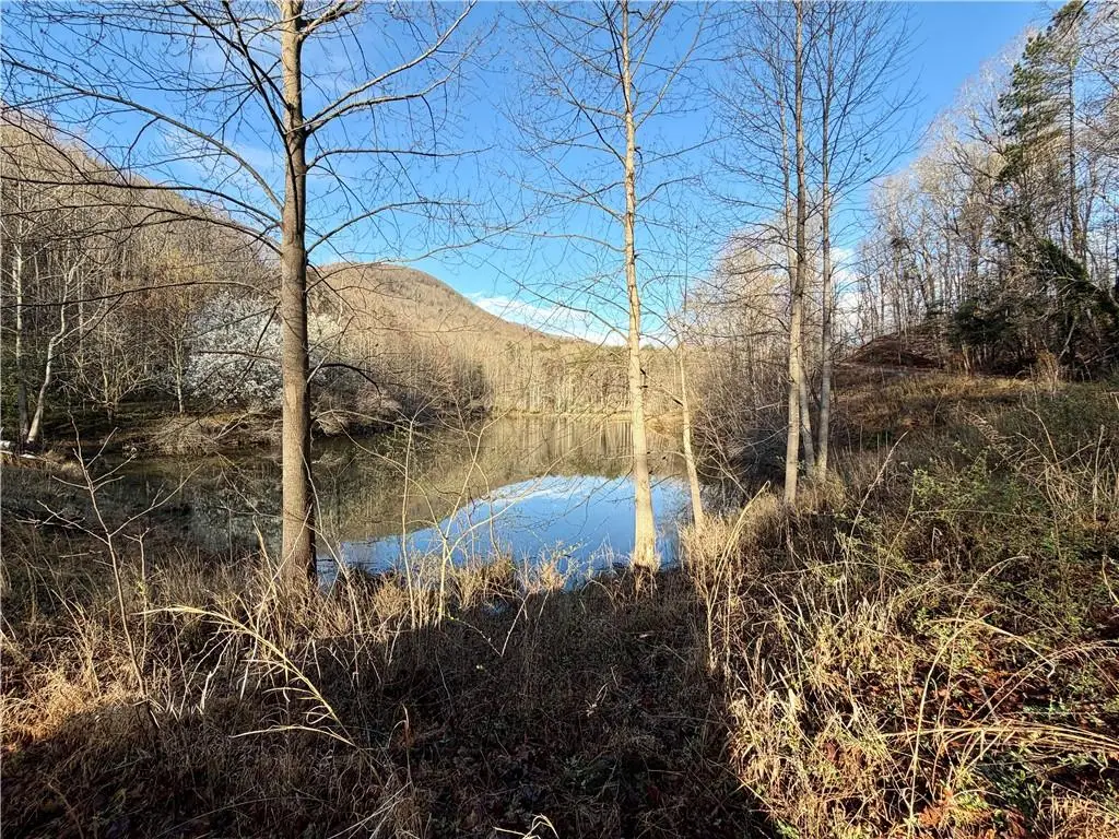 1565 Shoal Creek Road Nw, Clermont, GA 30527 - #1