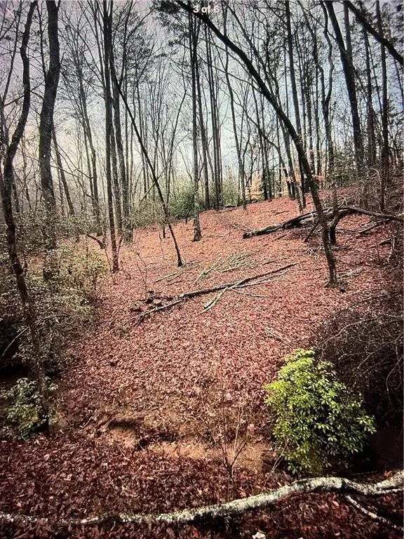 69 Gold Lake Drive, Cleveland, GA 30528 - #2