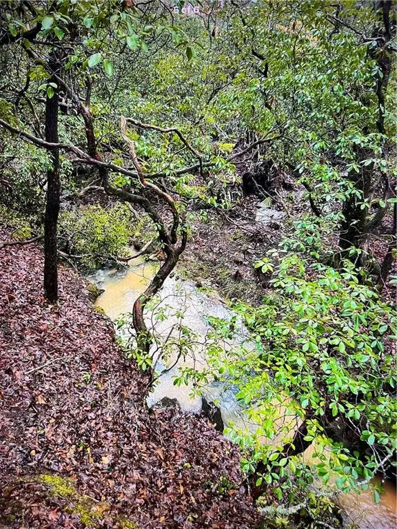 69 Gold Lake Drive, Cleveland, GA 30528 - #3