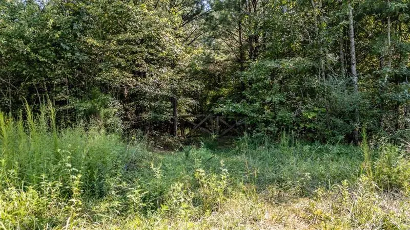 0 Townsend Road, La Fayette, GA 30728 - #3