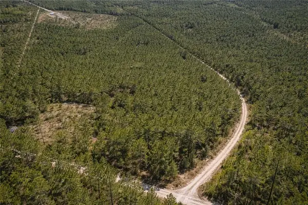 0 Long Ford, Jesup, GA 31546