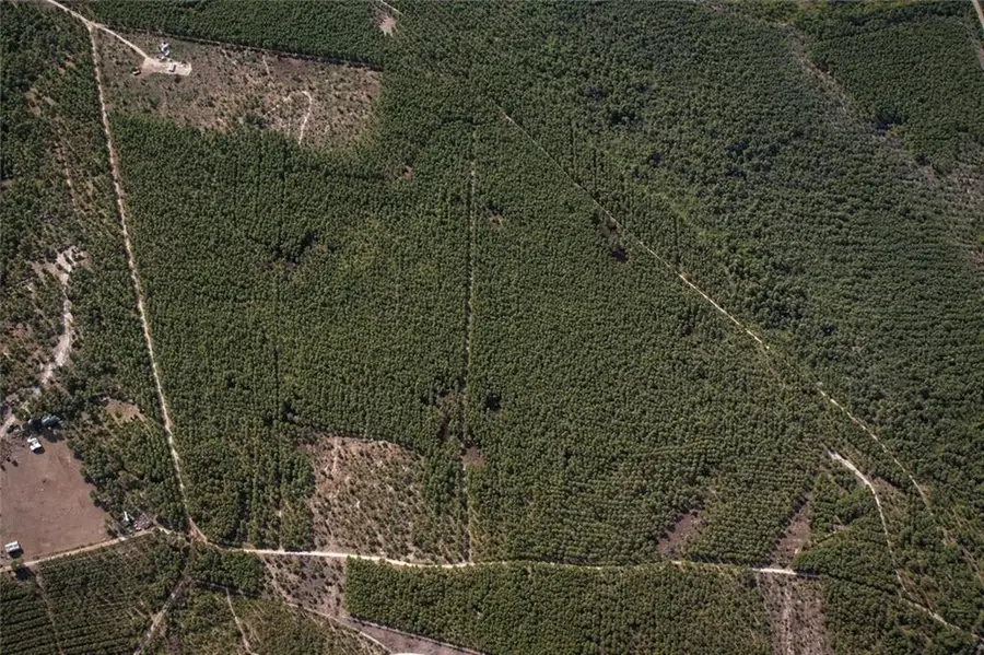 0 Long Ford, Jesup, GA 31546 - #2