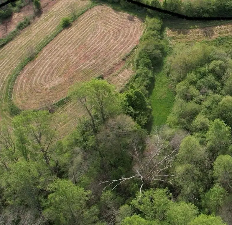 0000 Franklin Goldmine 6.56 Acres Road, Cumming, GA 30028 - #1