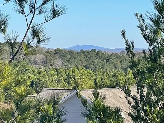 419 Canyon Creek Landing, Canton, GA 30114 - #2