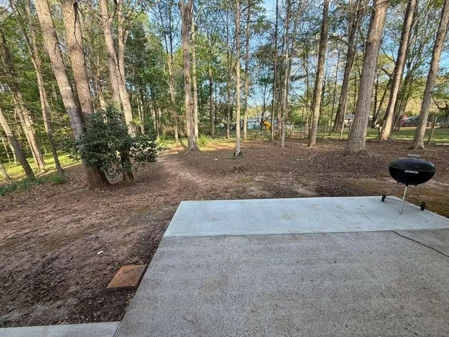 35 Lindsey Lane, Sharpsburg, GA 30277 - #3