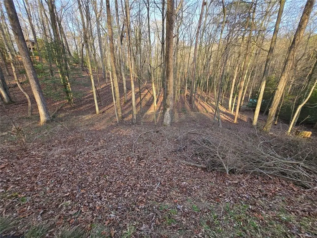 0 Chatawa Court, Ellijay, GA 30540 - #1
