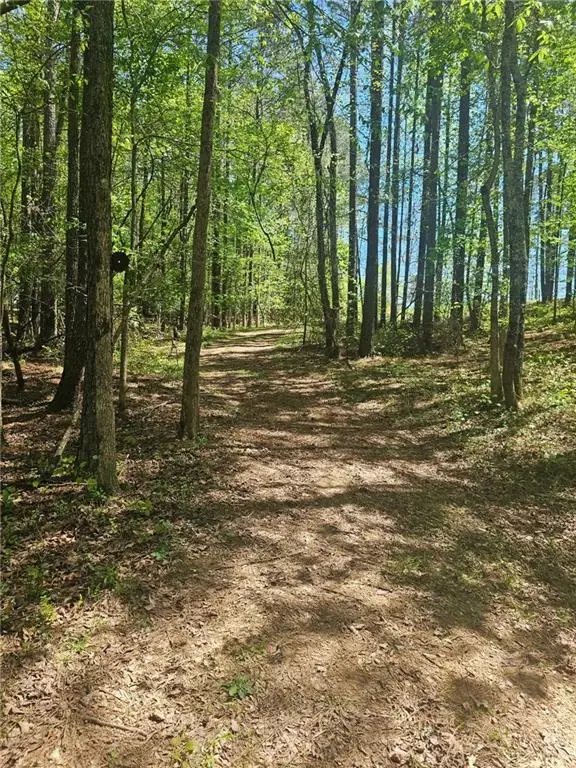 1041 Pintail Lane, Madison, GA 30650 - #2