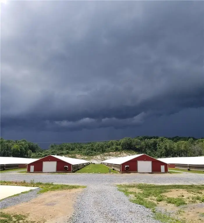 721 Liberty Church Road Ne, Ranger, GA 30734 - #2