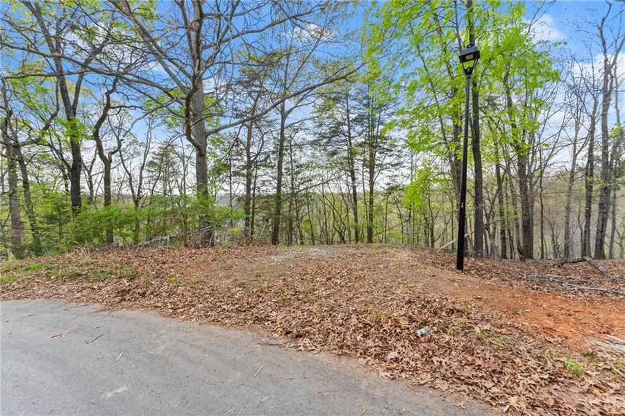 2517 Thompson Overlook, Gainesville, GA 30506 - #3