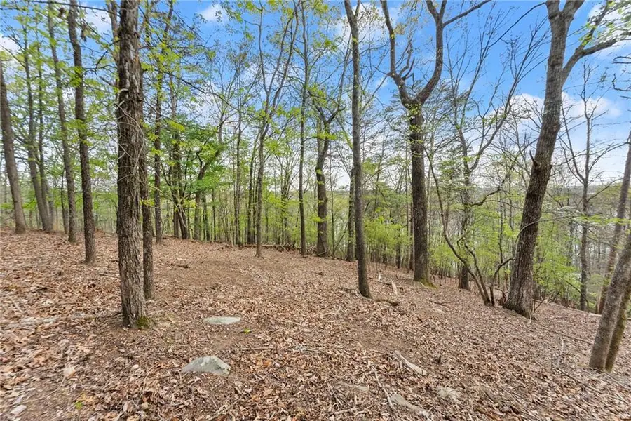 2524 Thompson Ovlk, Gainesville, GA 30506 - #2