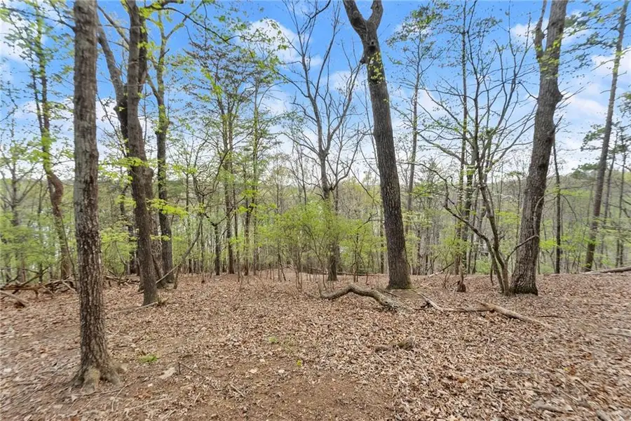 2524 Thompson Ovlk, Gainesville, GA 30506 - #3