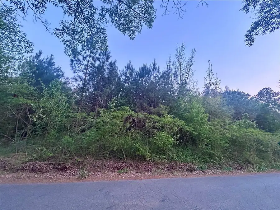 113 Old Alabama Wagon Road, Taylorsville, GA 30178 - #2